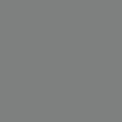 W312 - dust grey premier matt